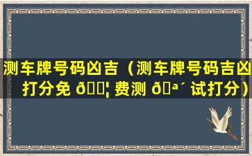 测车牌号码凶吉（测车牌号码吉凶打分免 🐦 费测 🪴 试打分）